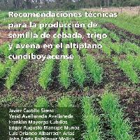 Recomendaciones técnicas para la producción de semilla de cebada, trigo y avena en el altiplano cundiboyacense