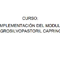 Curso: 