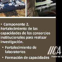 Socialización PMI Frijol-maíz, Región Occidente / IICA-CRIA