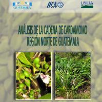 Análisis de la cadena de cardamomo. Región Norte de Guatemala
