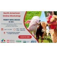 Webinar Día 2: Enfermedades Animales Prioritarias 2024 - Peste Porcina Africana