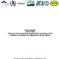 Promoción de las variedades de papa ICTA Loman Roja e ICTA Palestina en el altiplano del departamento de San Marcos