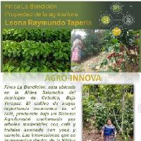 Finca La Bendición, Aldea Salamcho