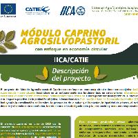 Modulo caprino agrosilvopastoril con enfoque en economía circular