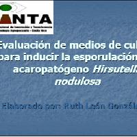  Evaluación de medios de cultivo para inducir la esporulación del acaropatógeno Hirsutella Nodulosa.