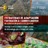 Estrategias de adaptación y mitigación al cambio climático en sistemas de producción agrícola: un enfoque desde la agricultura protegida y técnicas de biotecnología para el manejo del cultivo