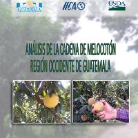 Análisis de la cadena de melocotón.  Región Occidente de Guatemala