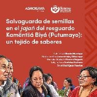 Salvaguarda de semillas en el jajañ del resguardo Kamënts̈á Biyá (Putumayo): Un tejido de saberes