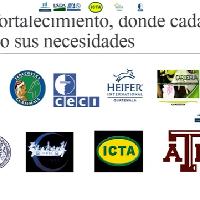 Socialización PMI maíz y cardamomo, Región Norte / IICA-CRIA