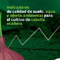 Indicadores de calidad de suelo, agua y oferta ambiental para el cultivo de cebolla ocañera