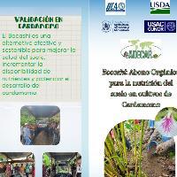 Bocashi. Abono orgánico para la nutrición del suelo en cultivos de cardamomo