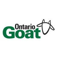 Ontario Goat