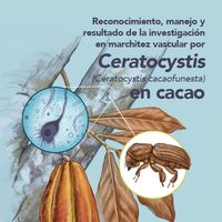 Reconocimiento, manejo y resultado de la investigación en marchitez vascular por Ceratocystis (Ceratocystis cacaofunesta) en cacao