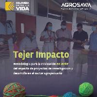 Tejer impacto: metodología para la evaluación ex ante del impacto de proyectos de investigación y desarrollo en el sector agropecuario