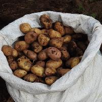 Alcance del Programa CRIA