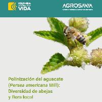 Polinización del aguacate (Persea americana Mill): Diversidad de abejas y flora local