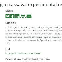 Heterosis and inbreeding in cassava: experimental results and perspectives
