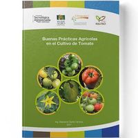 Buenas prácticas agrícolas en el cultivo de tomate
