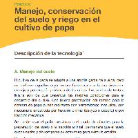 Práctica: Manejo, conservación del suelo y riego en el cultivo de papa