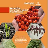 Guía práctica para evaluar la calidad de semilla sexual