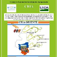 Evaluación de cinco programas de fertilización química con N-P-K, para tres genotipos de frijol (Phaseolus vulgaris L.), en cuatro localidades del corredor seco de los departamentos de Chiquimula y Zacapa, Guatemala, 2016