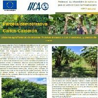 Sistema agroforestal de árboles frutales en asocio con musáceas, y pastos de corte, Municipio Texistepeque