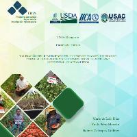 Validación del rendimiento del cultivo de tomate, utilizando pilones elaborados con sustratos locales, altiplano occidental, guatemalteco