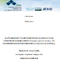Aceptabilidad y valor nutritivo de alternativas de consumo de Flor de Loroco (Fernaldia Pandurata Woodson.), en los departamentos de Chiquimula y Zacapa, Guatemala