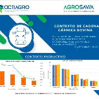 Contexto de cadena cárnica bovina