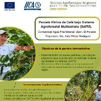 Parcela Vitrina de Café bajo Sistema Agroforestal Multiestrato (SAFM). Comunidad Agua Fría Mineral, Danlí, El Paraíso