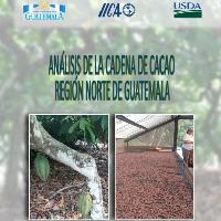 Análisis de la cadena de cacao. Región Norte de Guatemala