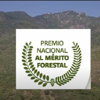 Asociación Ganadera Local de El Limón gana Premio Nacional al Mérito Forestal en México