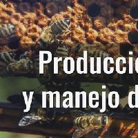 Producción de miel y manejo de colmenas