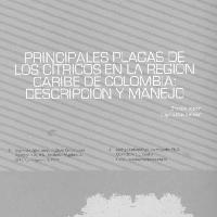 Principales plagas de los cítricos en la región caribe de Colombia: descripción y manejo -