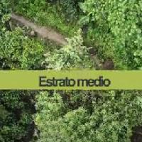 Análisis de suelo en estrato medio