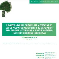 Biojoyería para el Palcazú, una alternativa de uso de productos maderables y no maderables para agregar mayor valor al bosque y generar empleo en comunidades indígenas