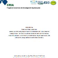 Generación de tecnología para mejorar la productividad del chile cahabonero (Capsicum spp.) en áreas productoras del departamento de Alta Verapaz; Fase I: Multiplicación, conservación y caracterización de germoplasma de chile Cahabonero de agricultores de Santa María Cahabón