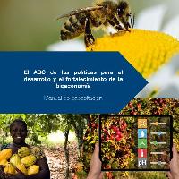 El ABC de las políticas para el desarrollo y el fortalecimiento de la bioeconomía: Manual de capacitación