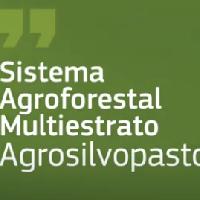 Sistema agroforestal multiestrato agrosilvopastoril