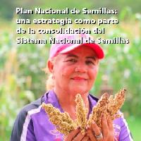 Plan Nacional de Semillas: una estrategia como parte de la consolidación del Sistema Nacional de Semillas