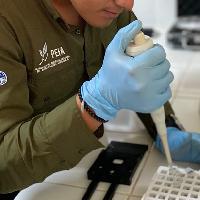 Especialización en Investigación Agrícola (PEIA)