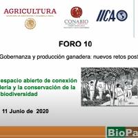 Foro 10: Gobernanza y producción ganadera: nuevos retos post COVID-19