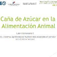 Caña de azúcar en la alimentación animal