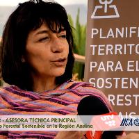 Entrevista a Tania Ammour - Curso Modular en Manejo Forestal Sostenible