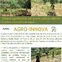 Sistema agroforestal con granos básicos, árboles frutales y cosecha de agua, Comunidad Cerro Tula