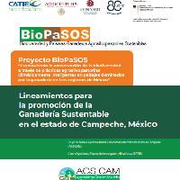Lineamientos para la promoción de la ganadería sustentable en el Estado de Campeche, México