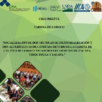 Socialización de dos técnicas de industrialización y dos alternativas de consumo dentro de la cadena de cultivo de loroco en los departamentos de Zacapa, Chiquimula y Jalapa Compartir