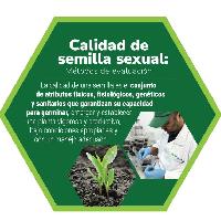 Calidad de semilla sexual: métodos de evaluación