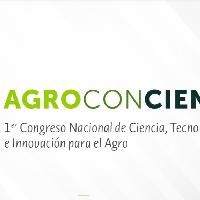 Evaluación de harinas, almidones y su relación con caracteres agromorfológicos de las Musáceas del Banco de Germoplasma de AGROSAVIA