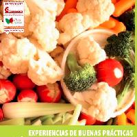Experiencias de buenas prácticas agrícolas para el cultivo de hortalizas en la sabana de occidente de Bogotá-